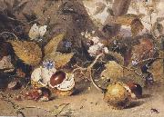 Still-life with horse chestnuts and insects (mk47)